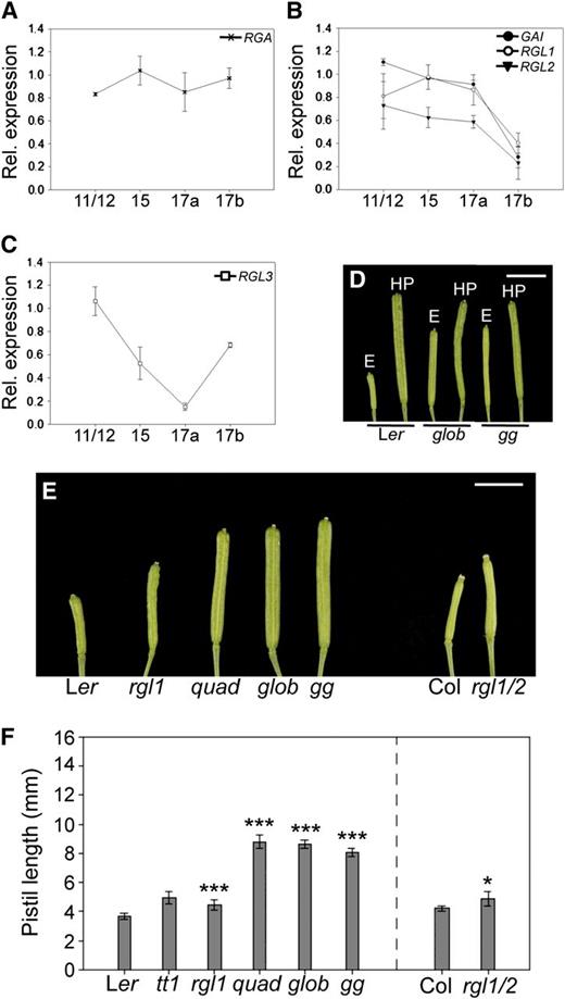 Facultative Parthenocarpy in della Mutants.