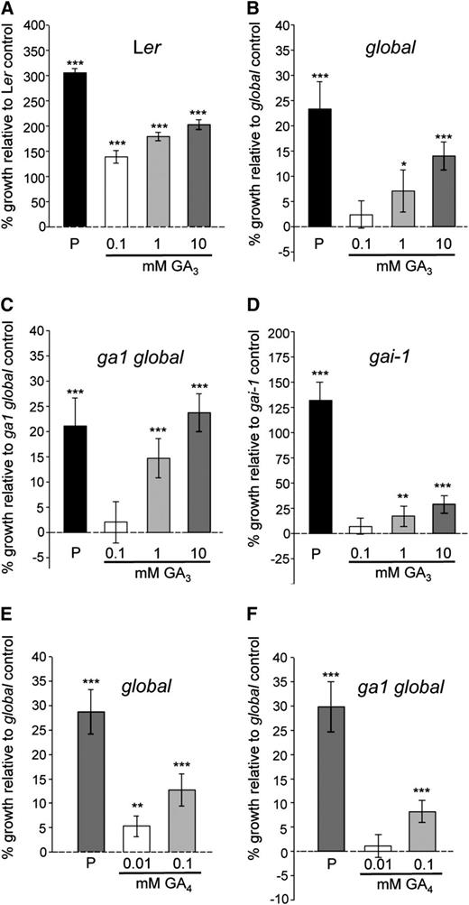 GA3 and GA4 Promote Fruit Elongation in Ler, global, ga1 global, and gai-1.