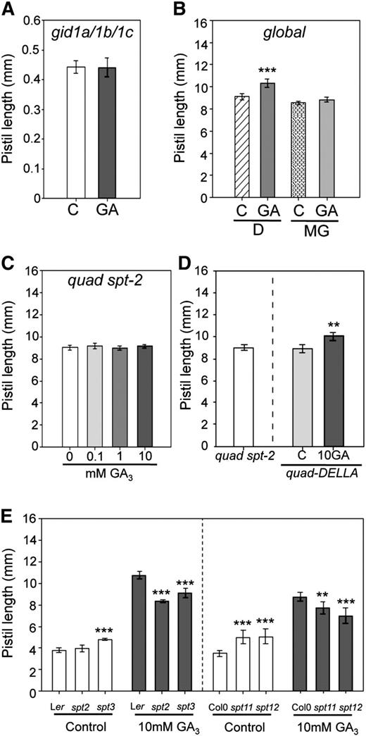 Function of GID1 Receptors, 26S Proteasome, and SPT in the DELLA-Independent GA Response.
