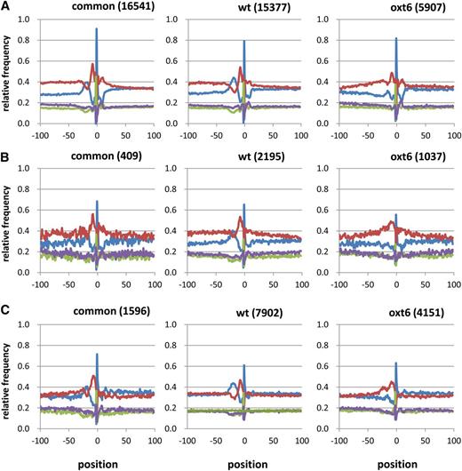 Position-by-position analysis of average base composition of the regions surrounding PACs.