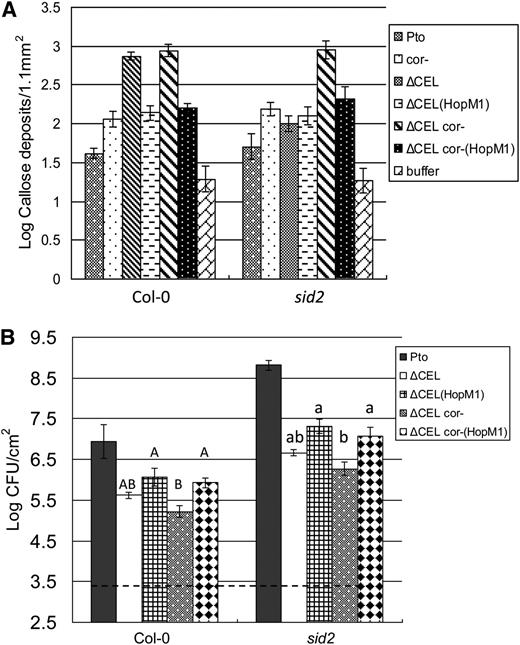 HopM1 Promotes Bacterial Virulence in SA Signaling–Deficient Plants.