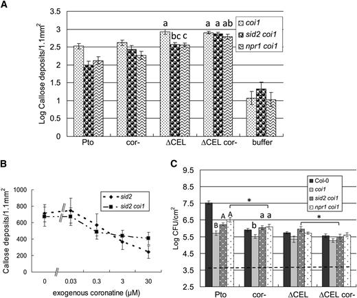 COR Promotes Bacterial Virulence in SA Signaling–Deficient Plants Independent of Targeting COI1.