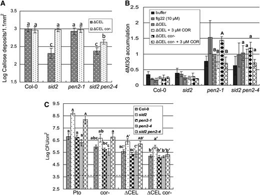 COR Inhibits Indole Glucosinolate Accumulation Upstream of PEN2.