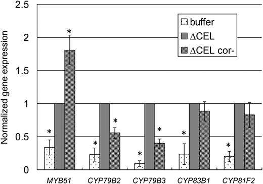 Bacterially Produced COR Variably Affects Expression of Genes Involved in Indole Glucosinolate Metabolism.