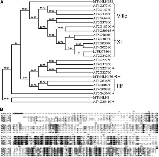 bHLH476 Is Not Closely Related to any Known Cytokinin Response and Nodulation Genes.