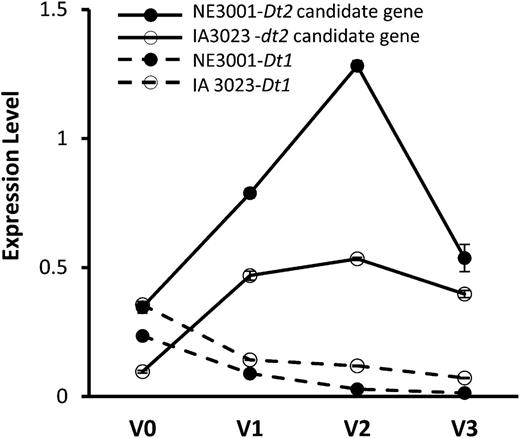 Expression of Dt1 or dt1 and the Dt2/dt2 Candidate Gene Glyma18g50910 in NE3001 and/or IA3023 Detected by qRT-PCR.
