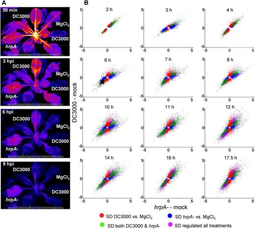 Dynamics of Differentially Expressed Genes during MTI and Disease Development.
