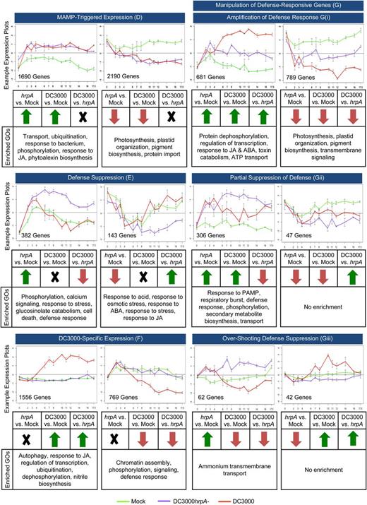 Response Categories of DEGs Capturing Different MTI and ETS Profiles.