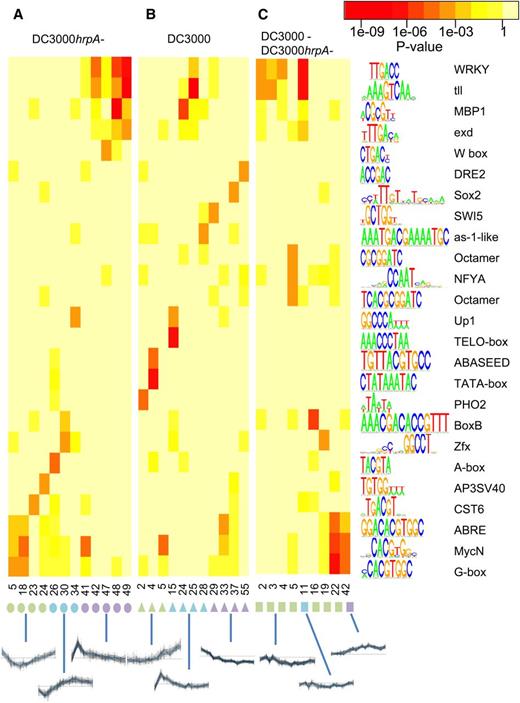 Revealing Links between TF Binding Motifs and Temporal Expression Patterns.