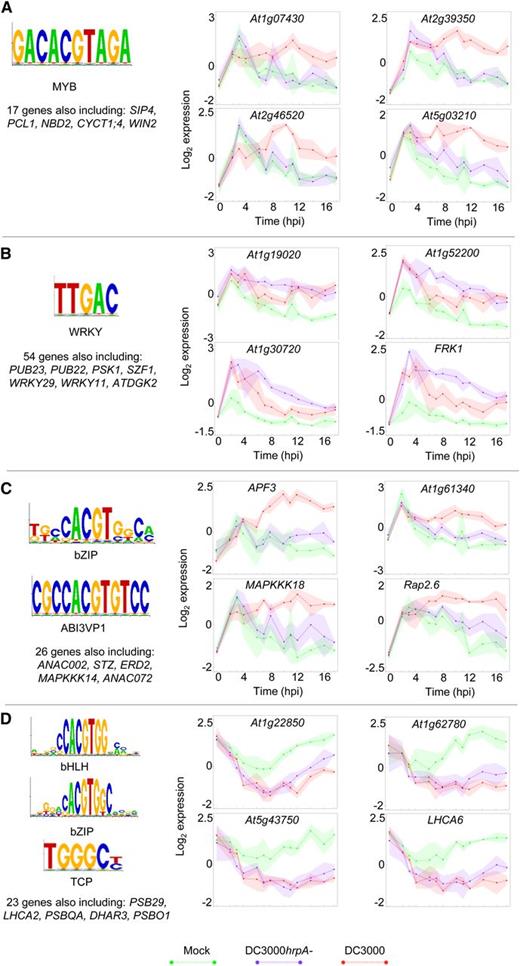 Genes Containing the Same Transcription Factor Binding Site(s) in Their Upstream Promoter Sequences Are Coexpressed across Multiple Conditions.