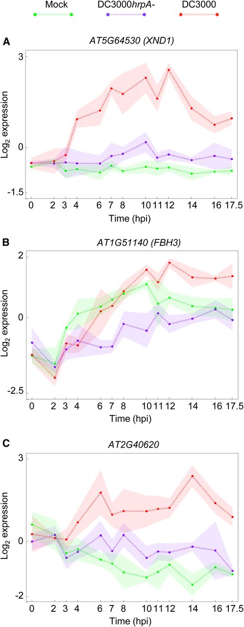 The Expression Profiles of Three Genes Present in the Inferred Transcription Factor Network Model.