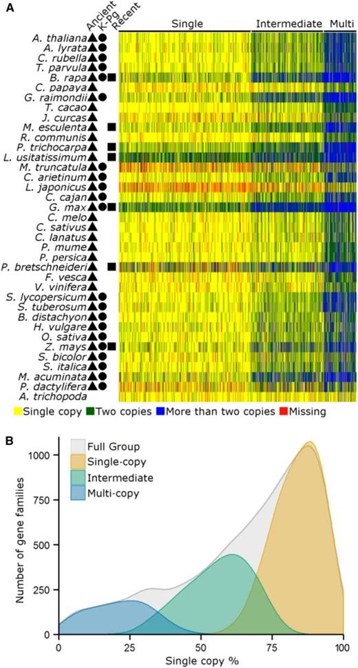 Core Gene Families Partition into Three Groups Based on Clustering of the Copy-Number Profile Data.