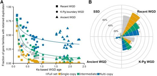 Analyses of Duplication Events of the Three Groups.