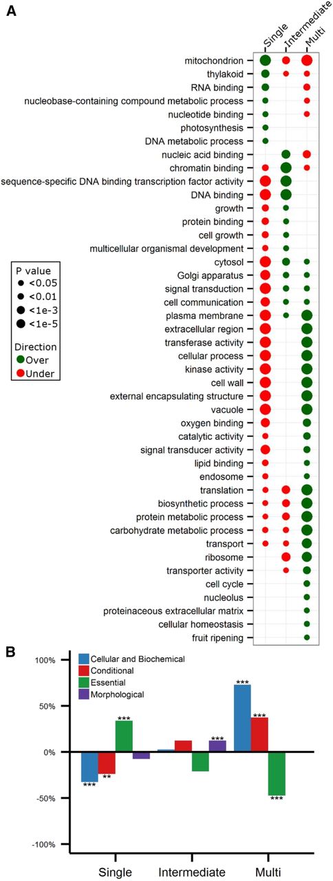 Functional Analyses of the Three Different Groups.