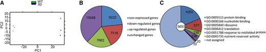 Global Transcriptome Analysis Based on RNA-Seq Data in 10-DAP Endosperms of the Wild Type and fl3.