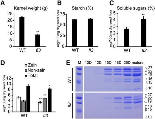 Storage Carbohydrates and Proteins in the Wild Type and fl3.