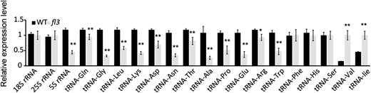 Quantitative RT-PCR Analysis of 17 tRNAs and 5S rRNA Genes in 12-DAP Endosperms of the Wild Type and fl3.
