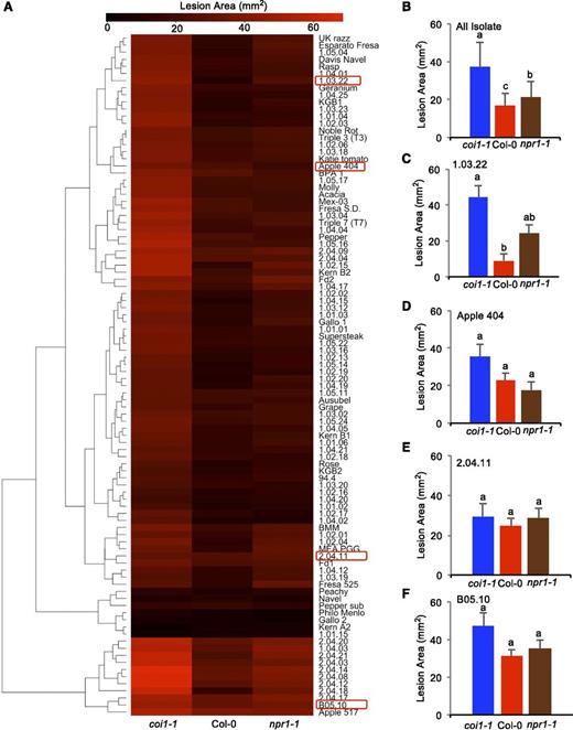 Variation in Arabidopsis Susceptibility across Host Genotypes Driven by Natural Genetic Variation in B. cinerea.