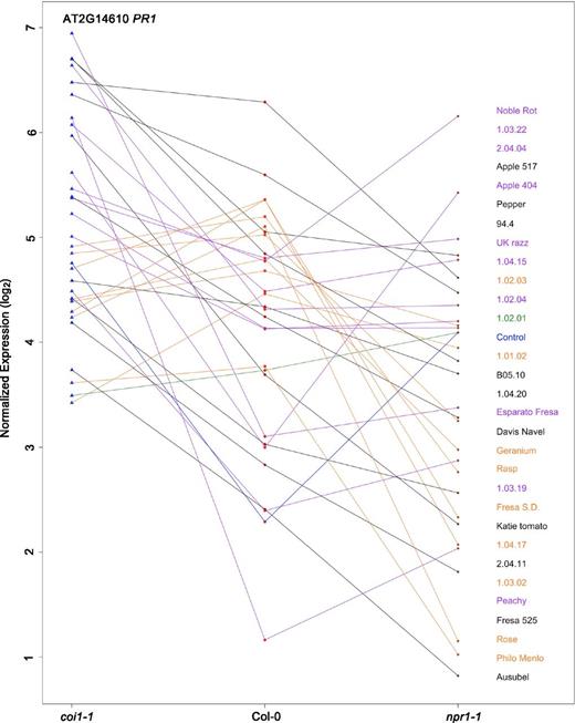 PR1 Expression across Arabidopsis Genotypes.