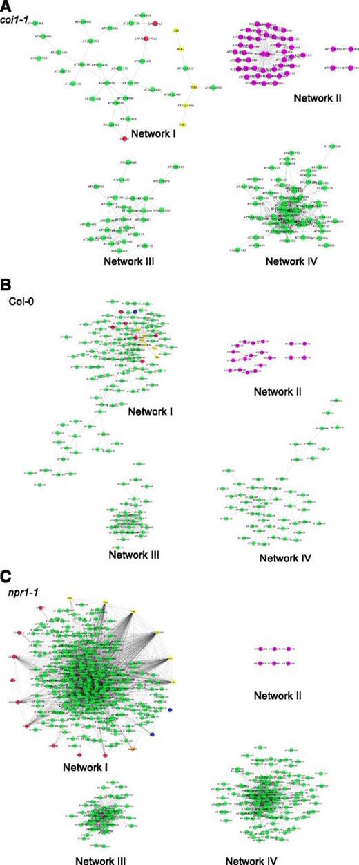 Gene Coexpression Networks Associated with Variation in Arabidopsis Transcriptomic Responses to Natural Genetic Variation in B. cinerea.