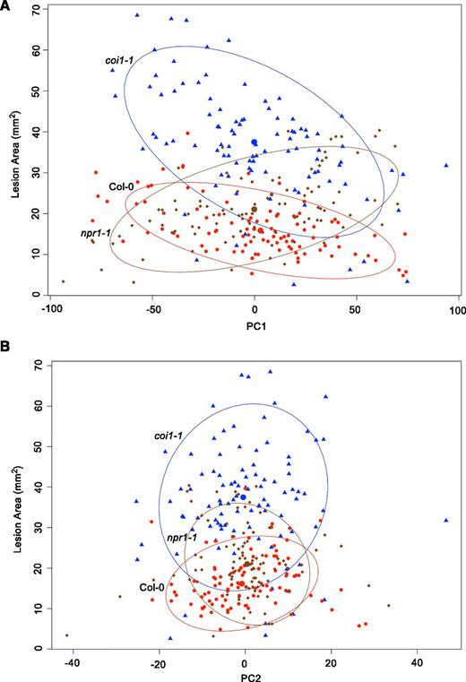 Correlation between Lesion Area and Transcriptome Responses of Arabidopsis Genotypes.