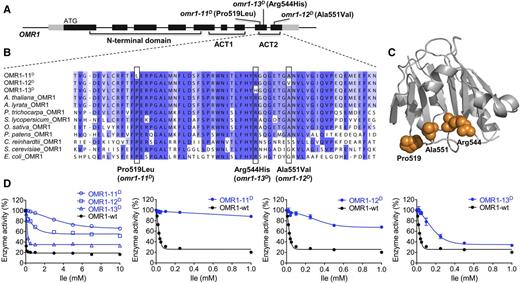 Characterization of OMR1D Mutant Enzymes.