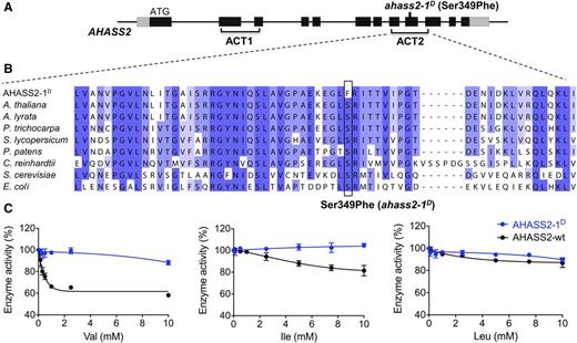 Characterization of the AHASS2-1D Mutant Enzyme.