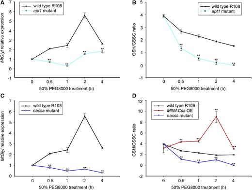 APT1 and NACsa Are Required for GlyI Expression and GSH/GSSG Ratio Regulation.