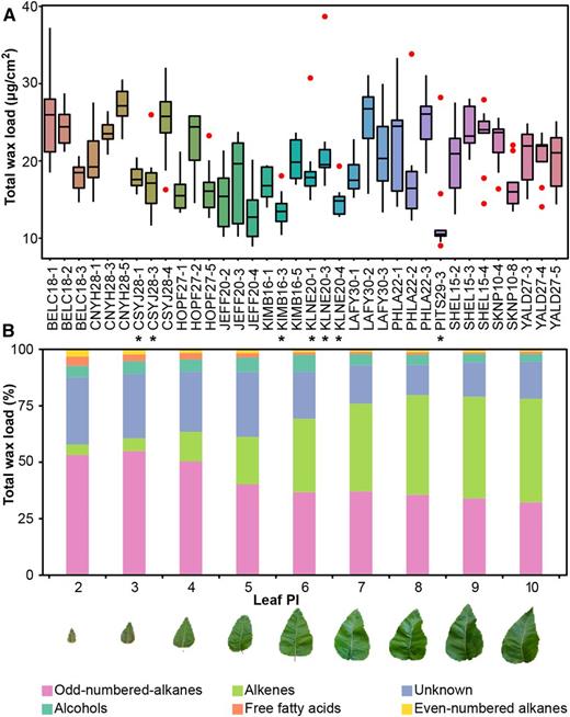 Variation in Leaf Cuticular Wax in P. trichocarpa.