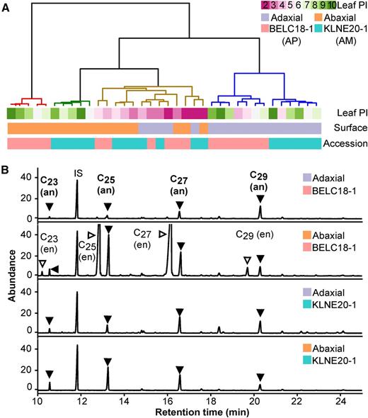 Leaf Surfaces Differ in Wax Composition as They Develop.