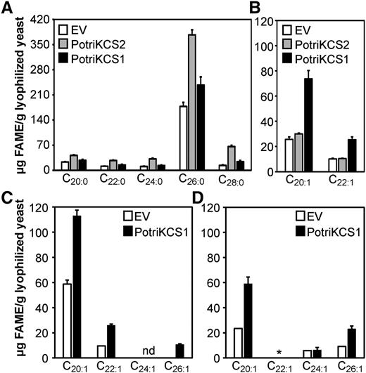 Heterologous Expression of Poplar KCS Increases the Amount of VLCFAs in Yeast.