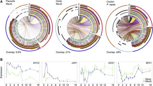 Temporal Expression Profiles Following Application of MeJA.