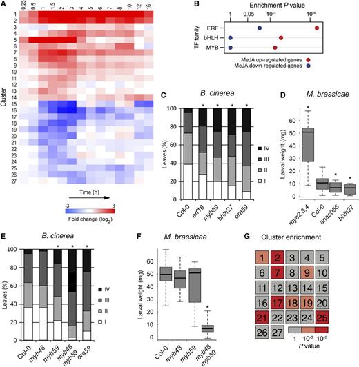 Clustering of Coexpressed Genes in the JA Gene Regulatory Network and Identification of Novel Components of JA-Dependent Resistance.
