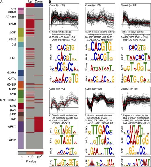 Enriched cis-Regulatory Motifs and Functional Categories in MeJA-Responsive Gene Coexpression Clusters.
