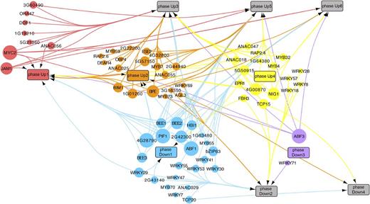 Predicted Directional Interactions in the JA Gene Regulatory Network.