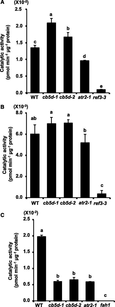 Enzymatic Activity Assay of C4H and F5H in Planta.