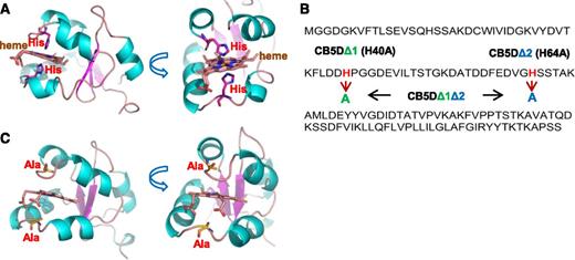 Creation of CB5D Variants.