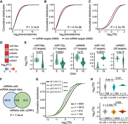 Combinatorial regulation of gene expression at the translational level by upstream open reading frames (uORFs), downstream ORFs (dORFs), and microRNAs (miRNAs). A–C) Cumulative distributions of the transcriptional level (A), translational level (B), and translation state (TS) (C) of the miRNA target genes and non-miRNA target genes. The different colored lines represent mRNAs with or without miRNA target sites. Two-sided Wilcoxon tests were performed. Only expressed genes with a FPKM > 1 were retained. A random set of the gene without miRNA target sites was used as a control. D) The fold changes in expression levels of several miRNAs during grain development. The comparison of 15-DAA grains to 5-DAA grains was shown. E) The TS distributions of the targets of several miRNAs. The predicted targets with miRNA-mediated translation repression were shown. Two-sided Wilcoxon tests were performed. F) A Venn diagram illustrates the cooccurrence of miRNAs and uORFs in gene models. A hypergeometric test was performed. G) The TS distributions of the “u−m−,” “u−m+,” “u+m−,” and “u+m+” mRNAs. “u−,” genes without an uORF; “u+,” genes with an uORF; “m−,” non-miRNA target genes; “m+,” miRNA target genes. A random set of the gene without uORFs or miRNA target sites was used as a control. Two-sided Wilcoxon tests were performed. ***P < 0.001. H) dORFs enhance the TSs of mRNAs with uORFs or microRNA target sites. “d−”, genes without a dORF. “d+”, genes with a dORF. The random set of the gene without specific features was used as a control.