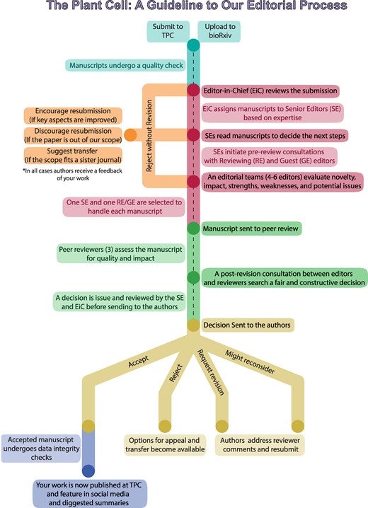 The Plant Cell editorial process from submission to final disposition.