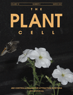 issue cover