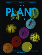 issue cover