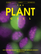 issue cover