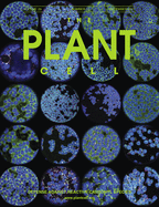 The Plant Cell Cover Image for Volume 29, Issue 12