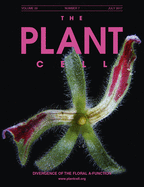 The Plant Cell Cover Image for Volume 29, Issue 7