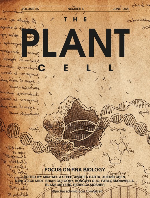 The Plant Cell Cover Image for Volume 35, Issue 6