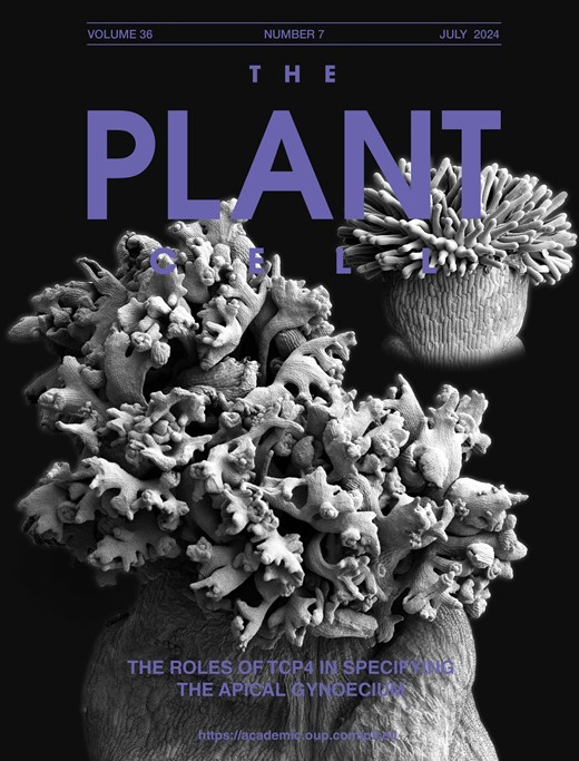 The Plant Cell Cover Image for Volume 36, Issue 7