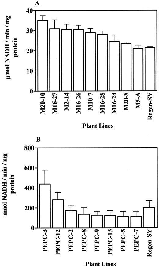 Enzyme specific activities from root-tips of transgenic and untransformed alfalfa lines. A, MDH-specific activity; B, PEPC-specific activity. Bars = means + se(n = 5).