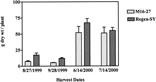 Shoot biomass accumulation in transgenic and untransformed alfalfa lines grown in field plots with soil pH 7.25. Plants were transplanted on June 2, 1999, and aerial biomass was cut by hand on the dates shown. Bars = means + se(n = 3 with up to 10 plants in each replicate plot).