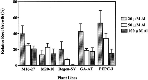 Influence of Al on root elongation of transgenic and untransformed alfalfa lines. Relative root growth = (root elongation with Al/root elongation without Al) * 100. Plants were preconditioned in hydroponic solution containing 0.5 mmCaCl2 in deionized water, pH 4.3. After 3 d, Al was added to fresh preconditioning medium, and root length was measured before and after 24 h of growth. Bars = means +se (n = 10). Root elongation in the preconditioning medium without the addition of Al during the same 24 h period was: M16-27 = 14.9 mm, M20-10 = 11.0 mm, alfalfa cv Regen-SY = 23.6 mm, GA-AT = 16.5 mm, and PEPC-3 = 8.0 mm.