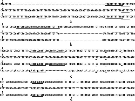 Multiple alignments of the intersubspecific chloroplast variations. Sequences of the intersubspecific variations of D-69 InDel (a), I-32 InDel (b), I-15 InDel (c), and one hotspot (d) were aligned. The corresponding chloroplast sequences amplified from 93-11, PA64S, and Nipponbare-G are indicated in numbers (1, 2, and 3). The published sequence (4) of Nipponbare-H from the National Center for Biotechnology Information databases is shown in section c. The repeated sequences and SNPs are underlined. The dashed lines indicate deleted bases.